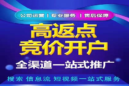 案例研究：SEM开户助力电商快速崛起